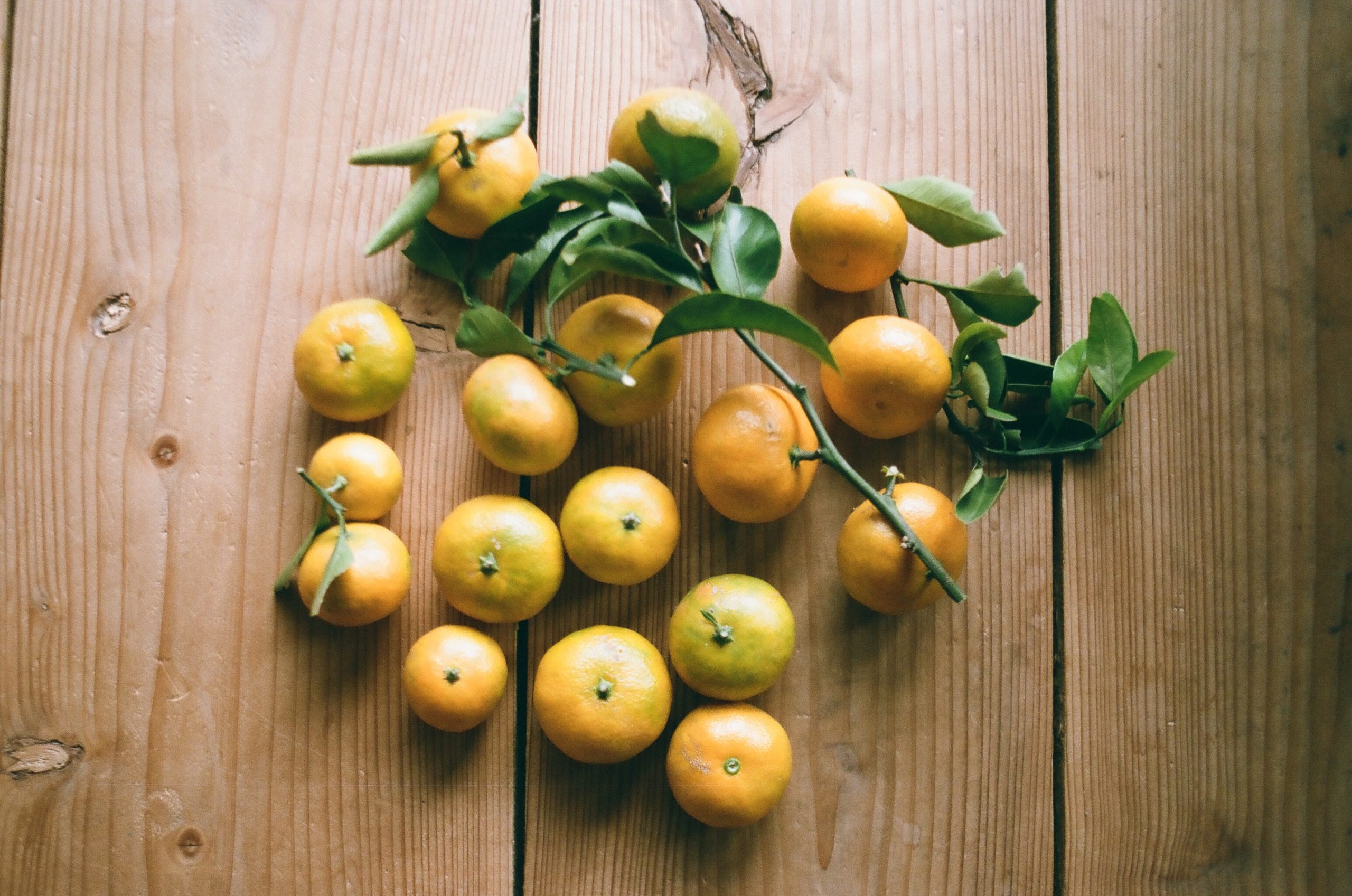 男木島の特産品を作ろう。プロジェクト　柑橘類（みかん）